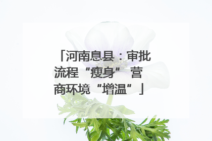 河南息县：审批流程“瘦身” 营商环境“增温”