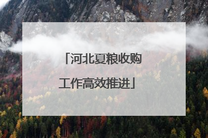 河北夏粮收购工作高效推进