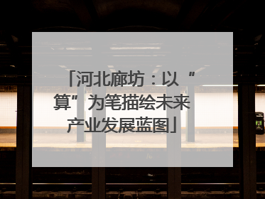 河北廊坊：以“算”为笔描绘未来产业发展蓝图