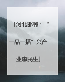 河北邯郸：“一品一播”兴产业惠民生