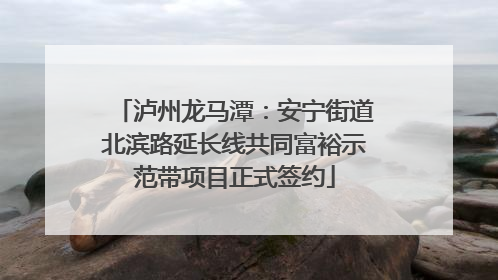 泸州龙马潭：安宁街道北滨路延长线共同富裕示范带项目正式签约