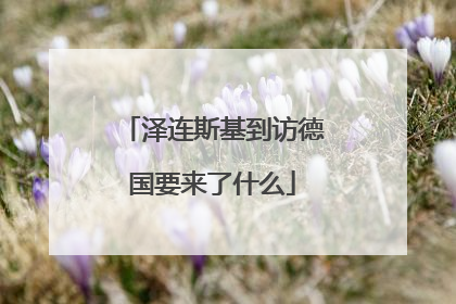 泽连斯基到访德国要来了什么