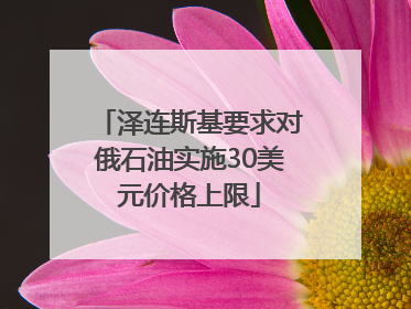 泽连斯基要求对俄石油实施30美元价格上限