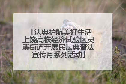 法典护航美好生活 上饶高铁经济试验区灵溪街道开展民法典普法宣传月系列活动