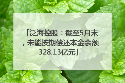 泛海控股：截至5月末，未能按期偿还本金余额328.13亿元