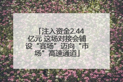 注入资金2.44亿元 这场对接会铺设“赛场”迈向“市场”高速通道