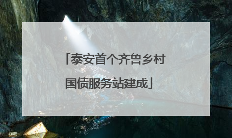 泰安首个齐鲁乡村国债服务站建成