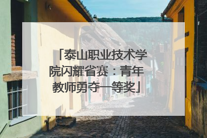 泰山职业技术学院闪耀省赛：青年教师勇夺一等奖