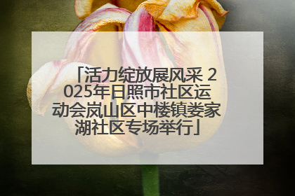 活力绽放展风采 2025年日照市社区运动会岚山区中楼镇娄家湖社区专场举行