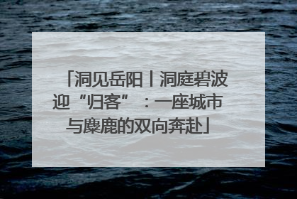 洞见岳阳丨洞庭碧波迎“归客”：一座城市与麋鹿的双向奔赴