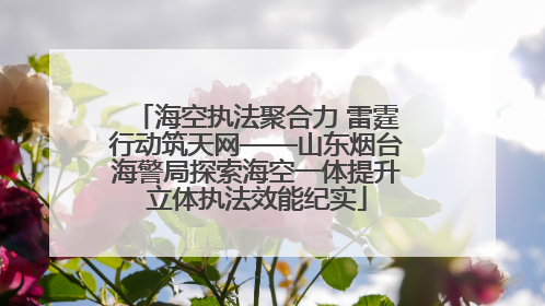 海空执法聚合力 雷霆行动筑天网——山东烟台海警局探索海空一体提升立体执法效能纪实