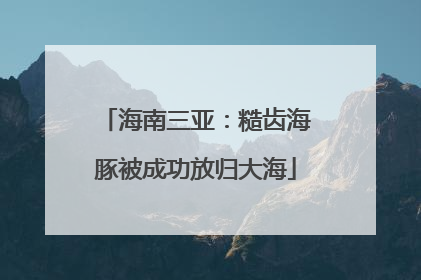海南三亚：糙齿海豚被成功放归大海
