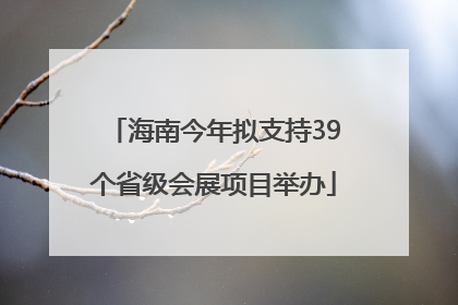 海南今年拟支持39个省级会展项目举办