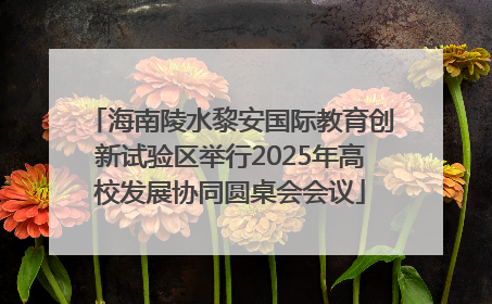 海南陵水黎安国际教育创新试验区举行2025年高校发展协同圆桌会会议