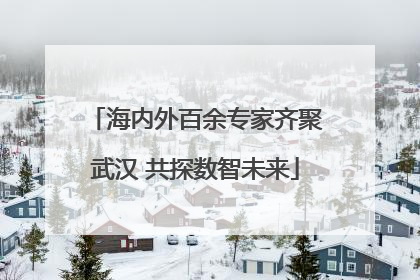海内外百余专家齐聚武汉 共探数智未来
