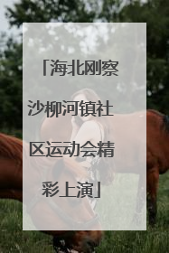 海北刚察沙柳河镇社区运动会精彩上演