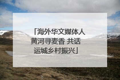 海外华文媒体人黄河寻麦香 共话运城乡村振兴