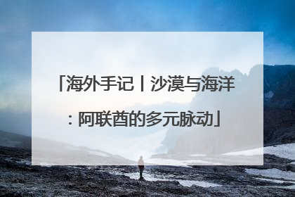 海外手记丨沙漠与海洋：阿联酋的多元脉动