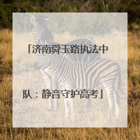 济南舜玉路执法中队：静音守护高考