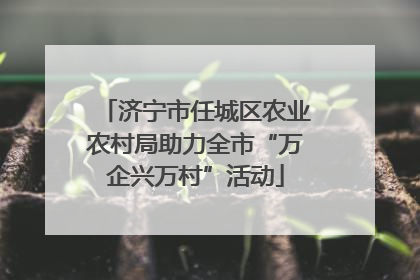 济宁市任城区农业农村局助力全市“万企兴万村”活动