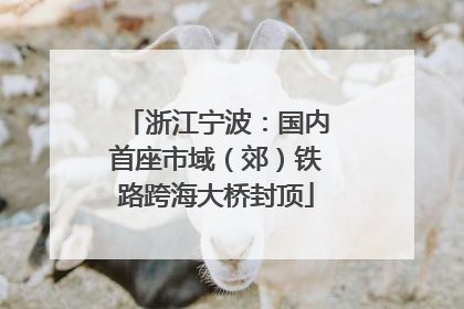 浙江宁波：国内首座市域（郊）铁路跨海大桥封顶
