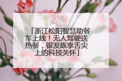 浙江松阳智慧助餐车上线！无人驾驶送热餐，银发族享舌尖上的科技关怀