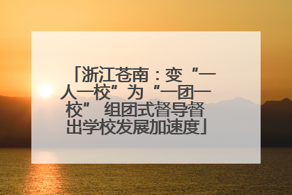 浙江苍南：变“一人一校”为“一团一校” 组团式督导督出学校发展加速度