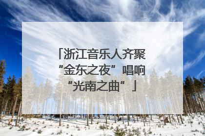 浙江音乐人齐聚“金东之夜”唱响“光南之曲”