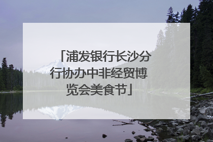 浦发银行长沙分行协办中非经贸博览会美食节