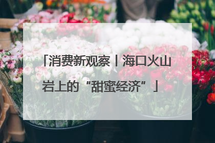 消费新观察丨海口火山岩上的“甜蜜经济”