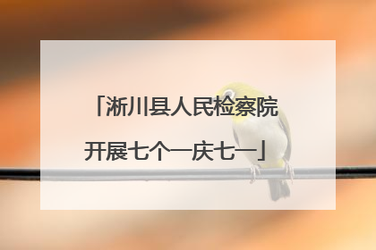淅川县人民检察院开展七个一庆七一