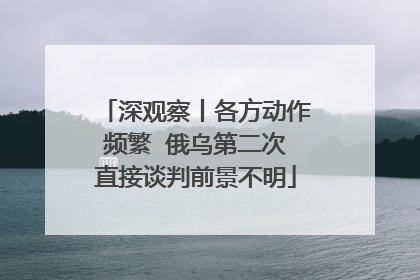 深观察丨各方动作频繁  俄乌第二次直接谈判前景不明