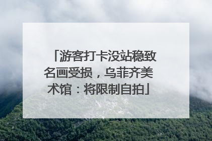 游客打卡没站稳致名画受损，乌菲齐美术馆：将限制自拍