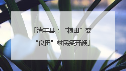 清丰县：“粮田”变“良田”村民笑开颜