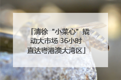 清徐“小菜心”撬动大市场 36小时直达粤港澳大湾区