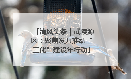 清风头条｜武陵源区：聚焦发力推动“三化”建设年行动