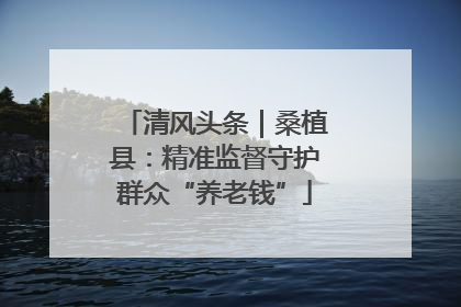 清风头条｜桑植县：精准监督守护群众“养老钱”