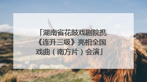 湖南省花鼓戏剧院携《连升三级》亮相全国戏曲（南方片）会演