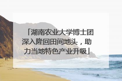 湖南农业大学博士团深入隆回田间地头，助力当地特色产业升级