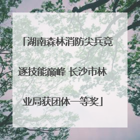 湖南森林消防尖兵竞逐技能巅峰 长沙市林业局获团体一等奖