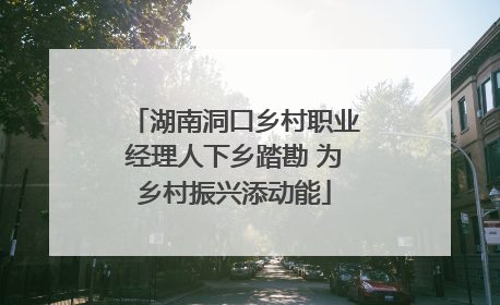 湖南洞口乡村职业经理人下乡踏勘 为乡村振兴添动能