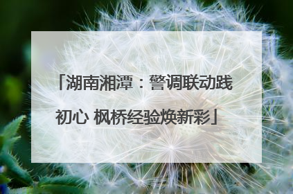 湖南湘潭：警调联动践初心 枫桥经验焕新彩
