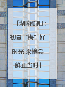 湖南衡阳：初夏“梅”好时光 采摘尝鲜正当时