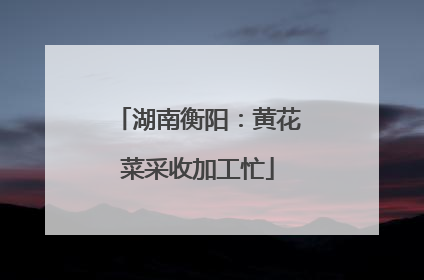 湖南衡阳：黄花菜采收加工忙