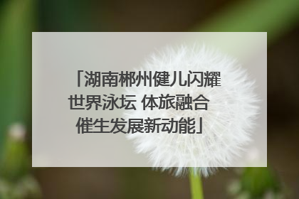 湖南郴州健儿闪耀世界泳坛 体旅融合催生发展新动能