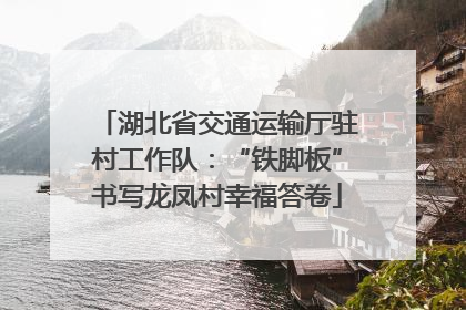 湖北省交通运输厅驻村工作队：“铁脚板”书写龙凤村幸福答卷