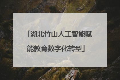 湖北竹山人工智能赋能教育数字化转型