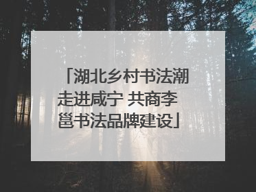 湖北乡村书法潮走进咸宁 共商李邕书法品牌建设