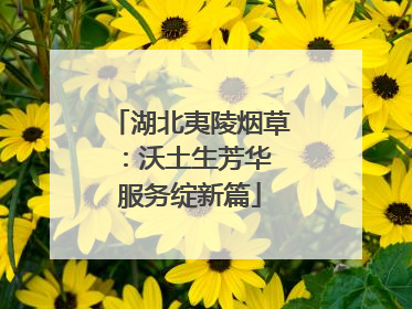 湖北夷陵烟草：沃土生芳华 服务绽新篇