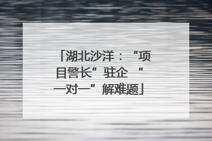 湖北沙洋：“项目警长”驻企 “一对一”解难题